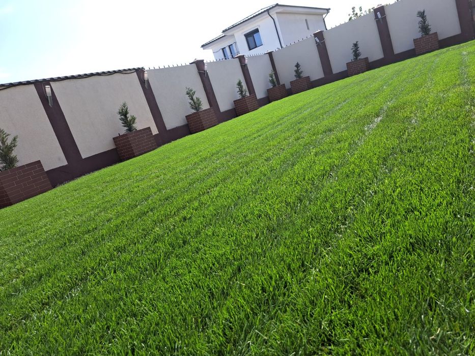 Gradinar Berceni/Intretinere gradini