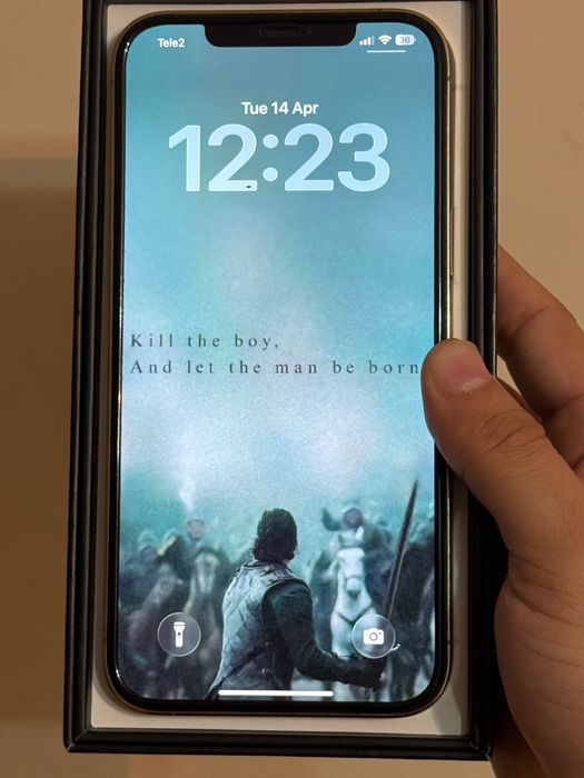 iPhone 12 Pro Max 256GB