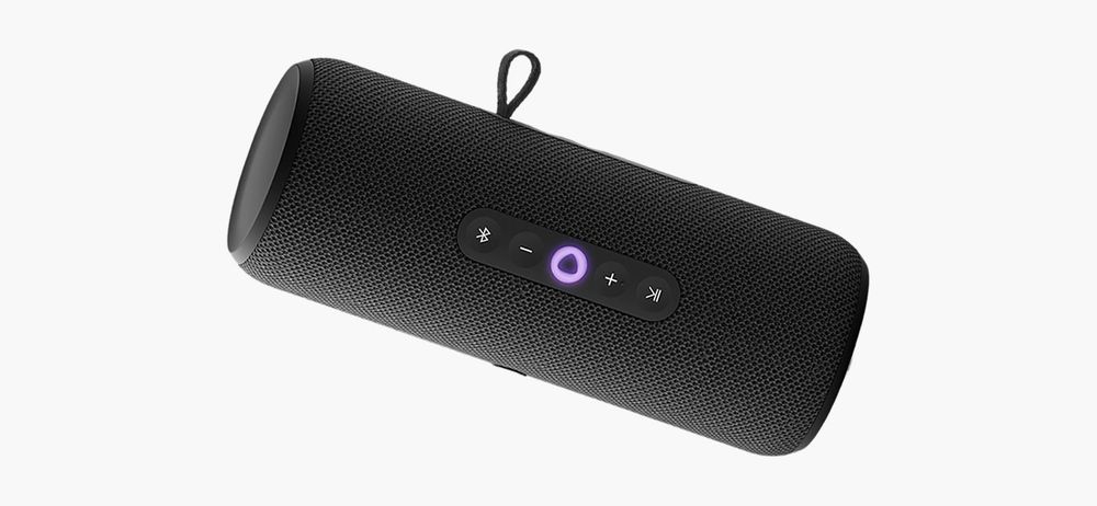 Яндекс Станция Стрит 30вт