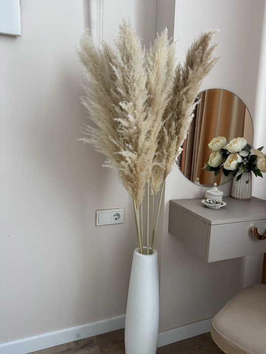 Продам лимонное дерево и сухоцветы