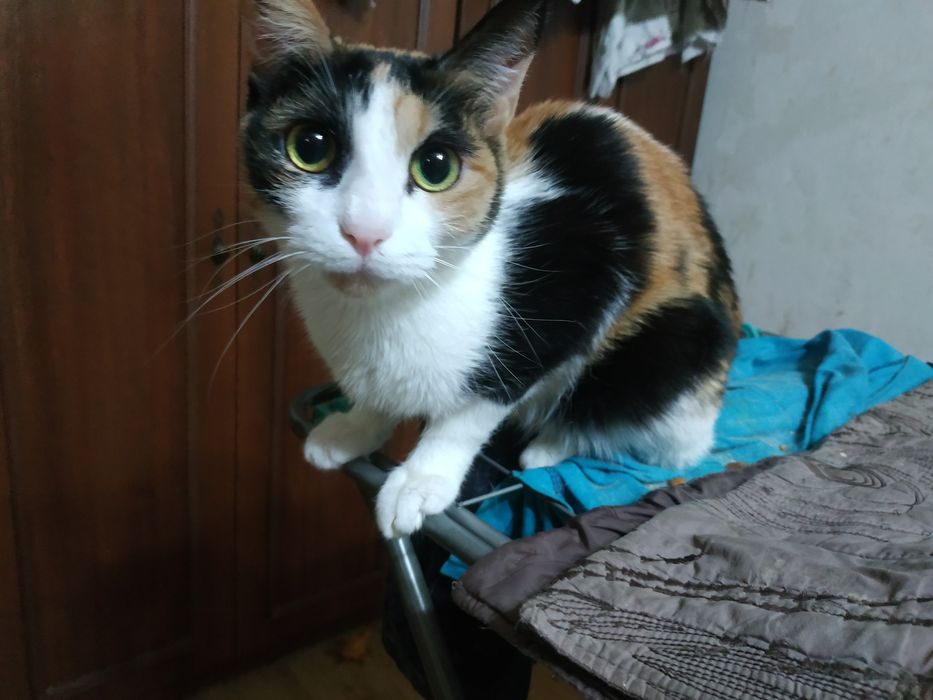 Предновогодняя распродажа