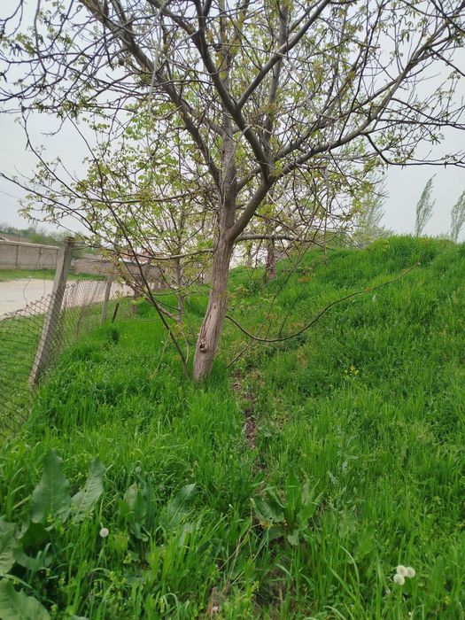 Yer sotiladi srochna