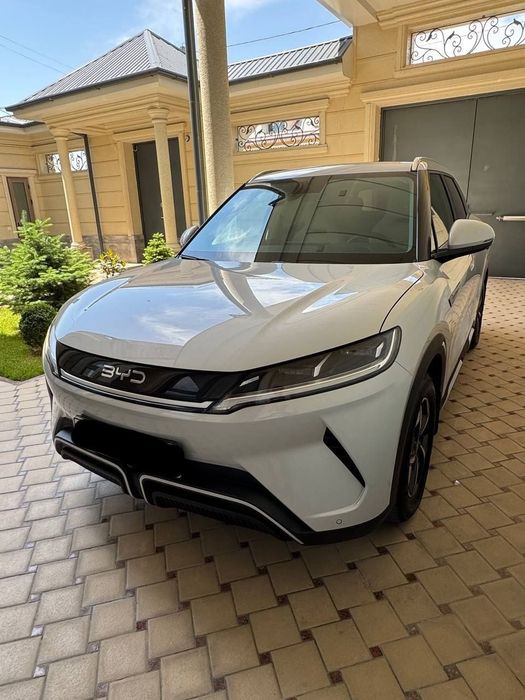 Byd Yuan Up 2025 Nardogrey