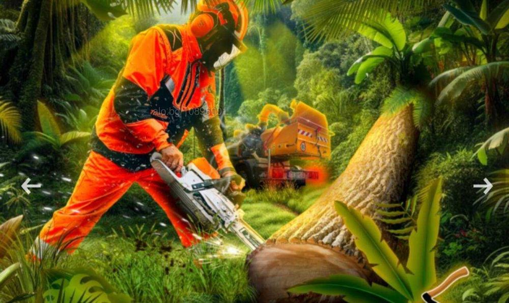 Косене на трева, почистване на парцели рязане на дървета и храсти.