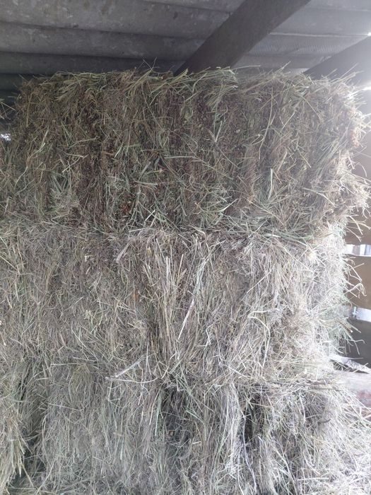 Продам сено поштучно