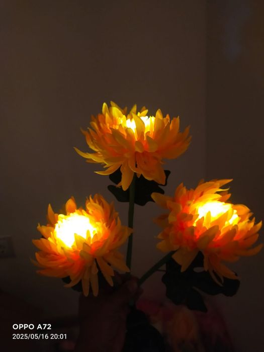 Садовые светильники