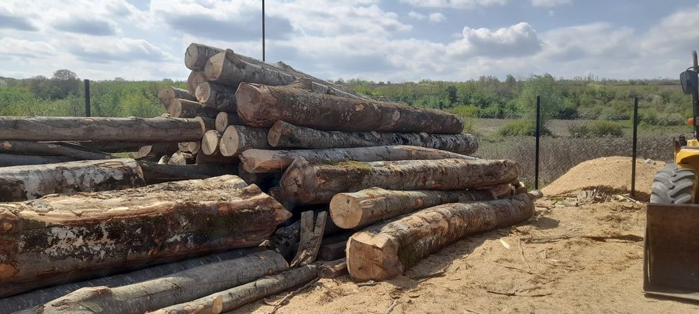 CHERESTEA - scandura, dulap, grinda, sipca, asteriala, lemn foc