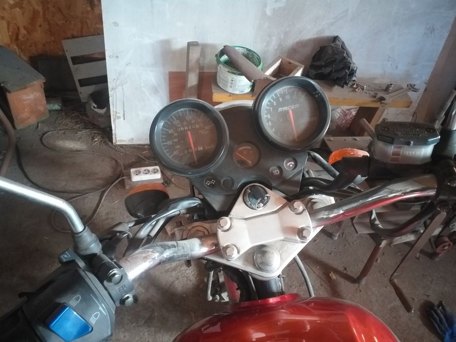 Рейсер магнум 250