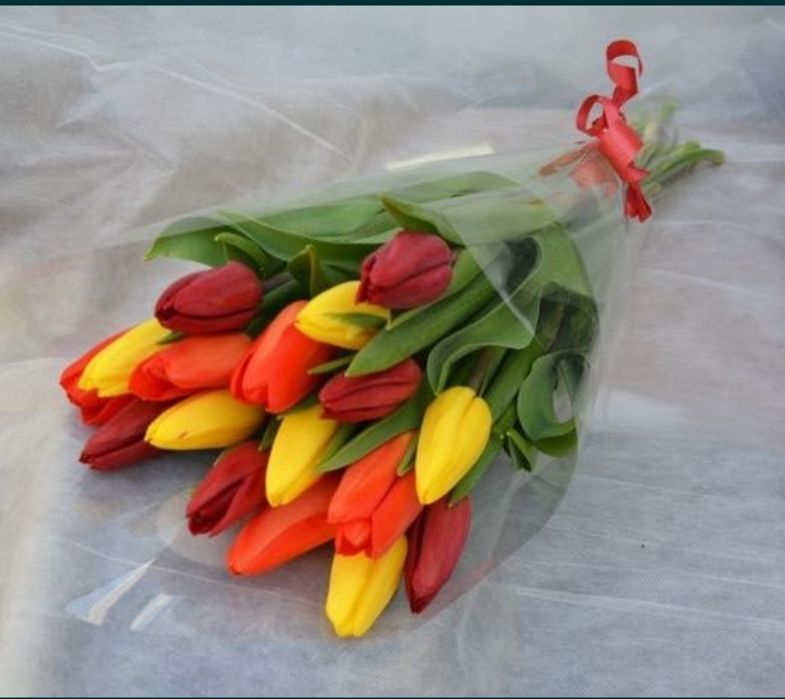 Тюльпаны Павлодар