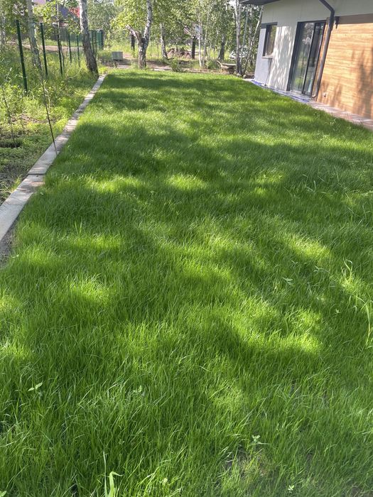 Газон спортивный зимостойкий