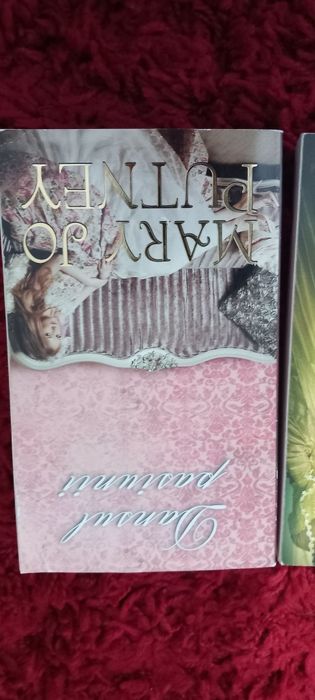 Mary Jo Putney - Romane