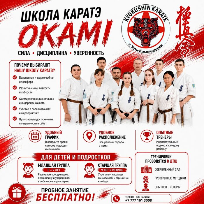 Школа каратэ OKAMI