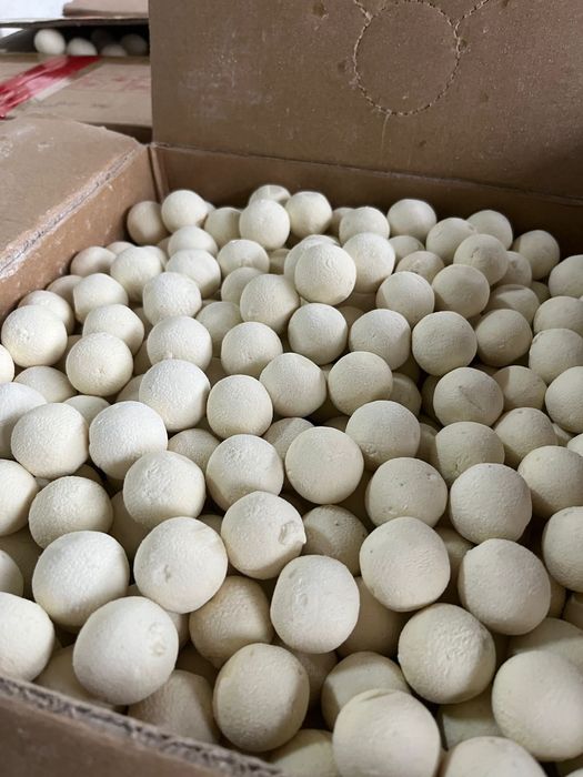 Құрт май ірімшік