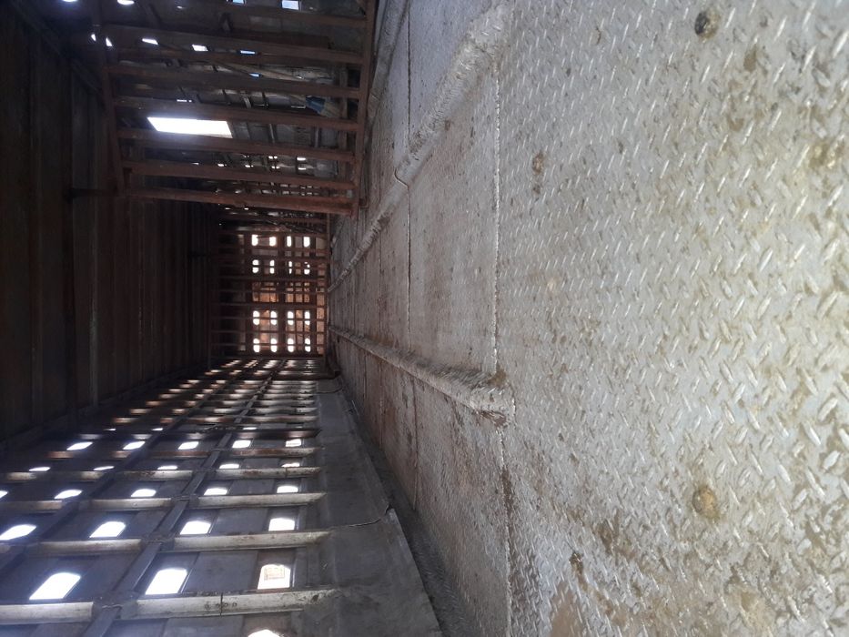 Скотовоз. Перевозка животных.