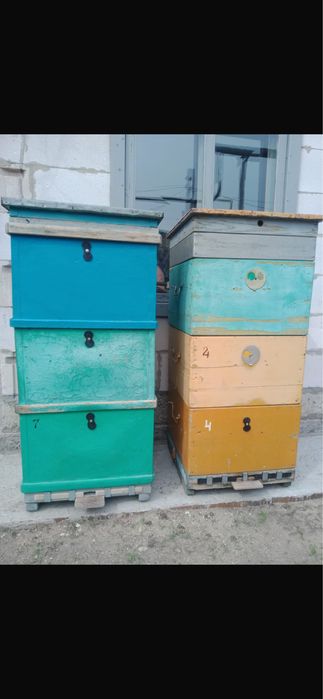 Продам ульи. Цена 10000тг
