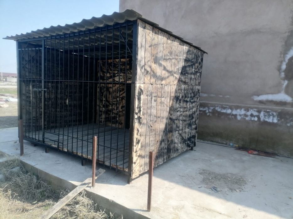 Волер для собака