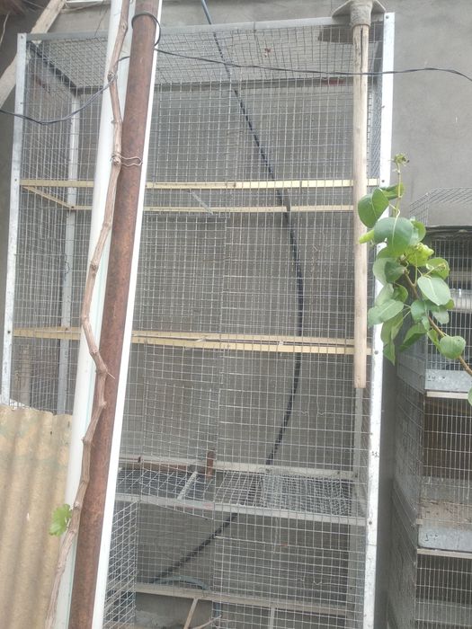 Клетка советской отценковенной 

Длина 1.80
Высота и ширина 60

Качест