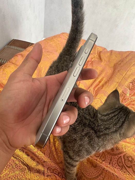 Apple iphone айфон 15 pro 15про
