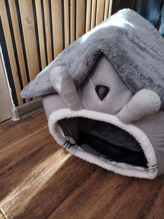 Отдам Кошку Бесплатно