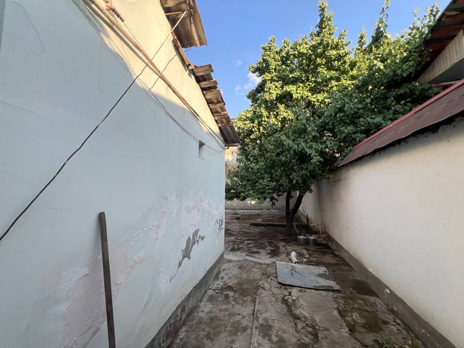 Xovli ijaraga beriladi