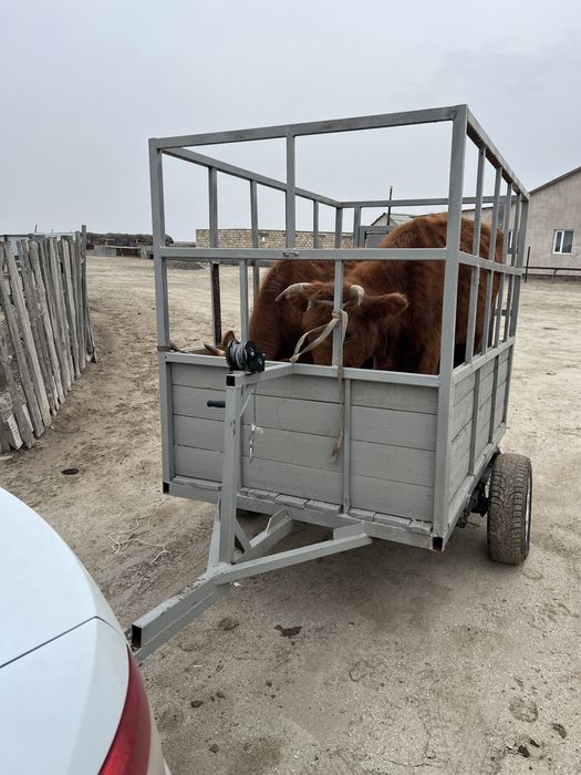 Прицеп для перевозки скота
