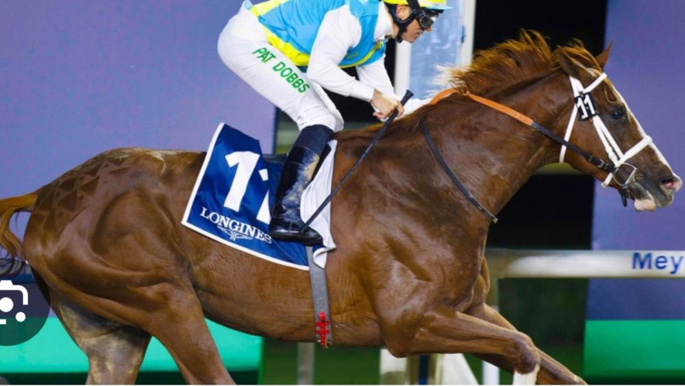 Электрик электромонтаж