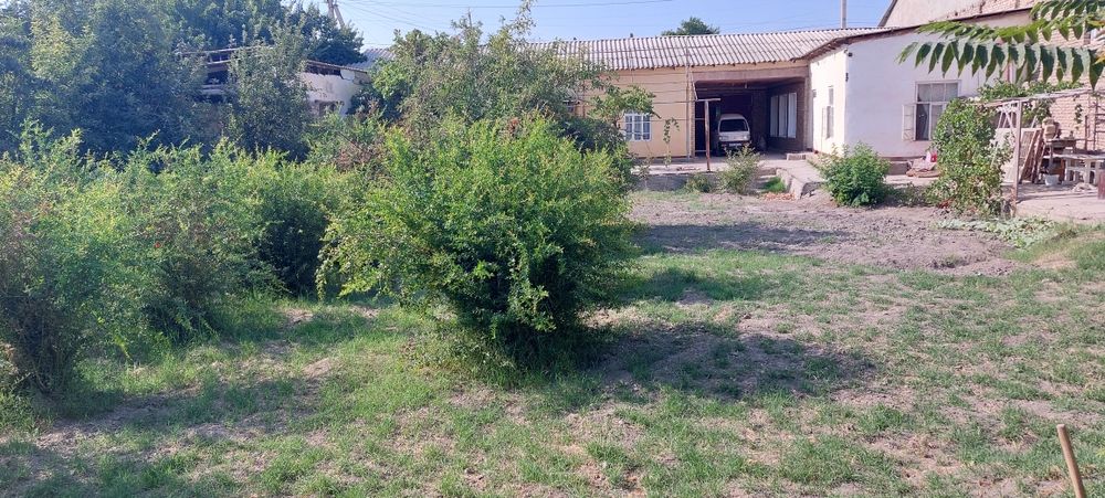 "Ховли сотилади" Эски шахар Бозор оркасида