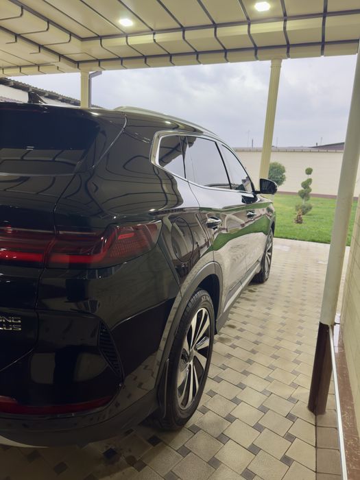 BYD Champion DM-i Gibrid