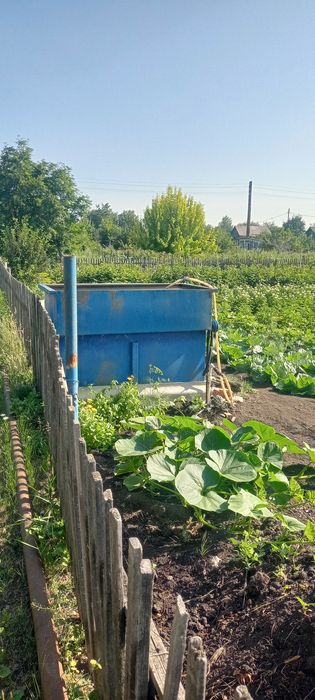 Дача в обществе Ромашка