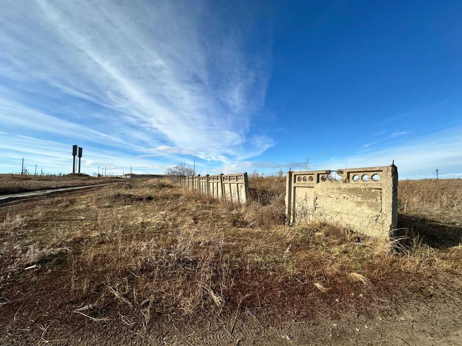 В продаже База новоявленка Алаш 1