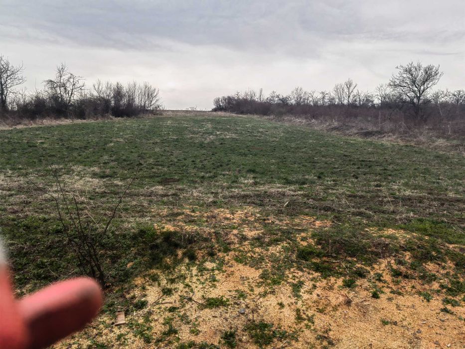 Продава се Парцел в с. Пчелище, Област Велико Търново - 1800 кв.м за 10 €/кв.м - Снимка #5