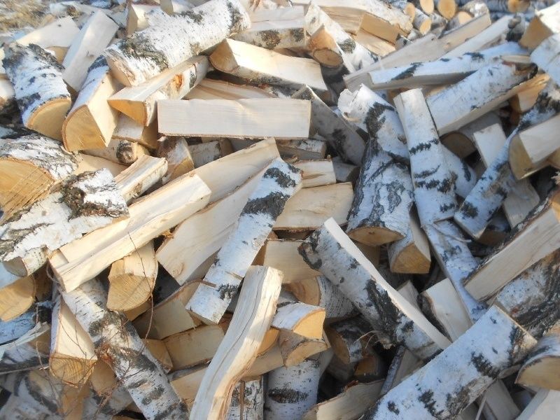 Береза в мешках готовые