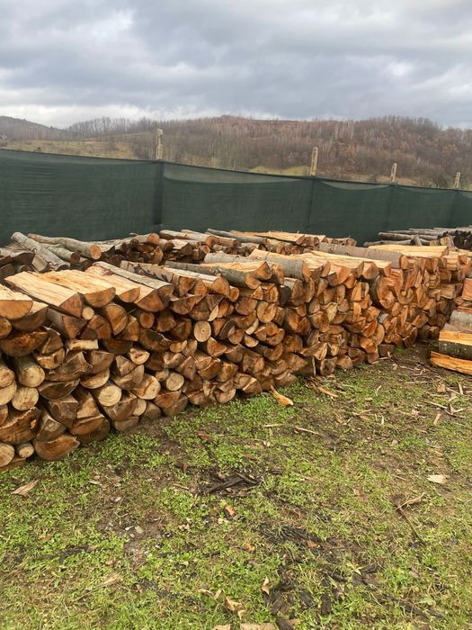 Vindem lemne de foc esențe tarii(fag,gorun,carpen,cer)