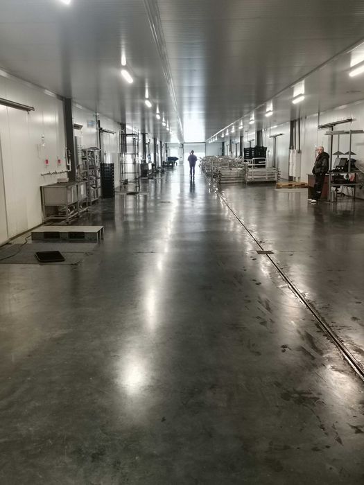 Выращивание шампиньонов