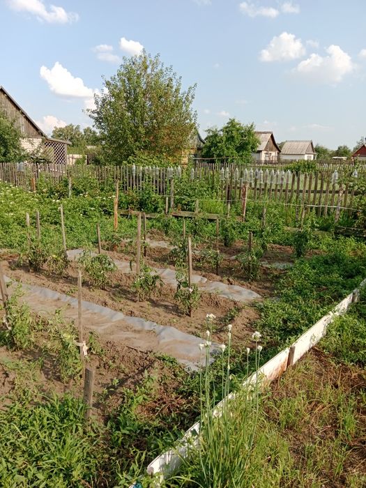 Продам дачу садоводство "Яблонька"