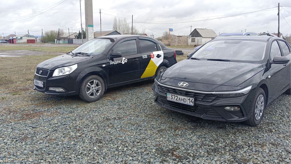 Сдается в аренду хендай елантра