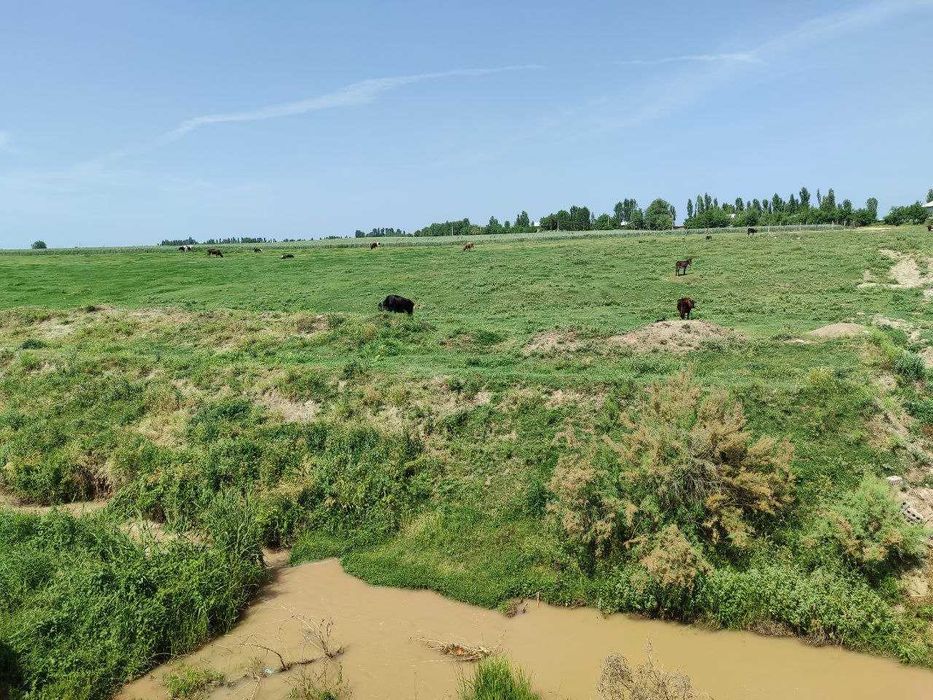 Ижарага ер 1,5 гектар Пискентда