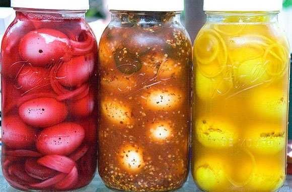 Крупное домашнее перепелиное яйцо