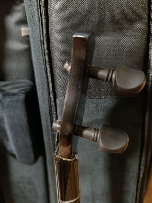 Профессионалды домбыра