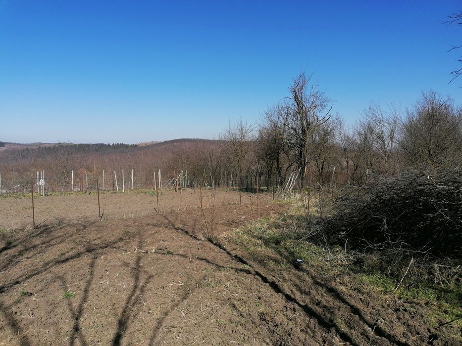 Teren intravilan ieftin la Straja(lângă Alba Iulia)