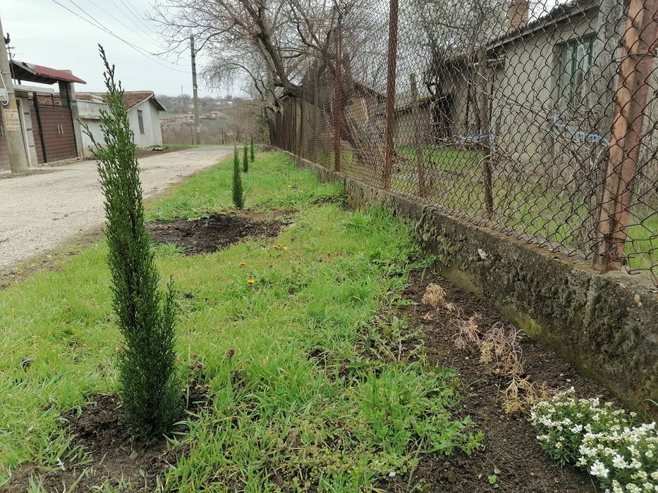 Продава се Къща в Алфатар - 120 кв.м за 276 €/кв.м - Снимка #22