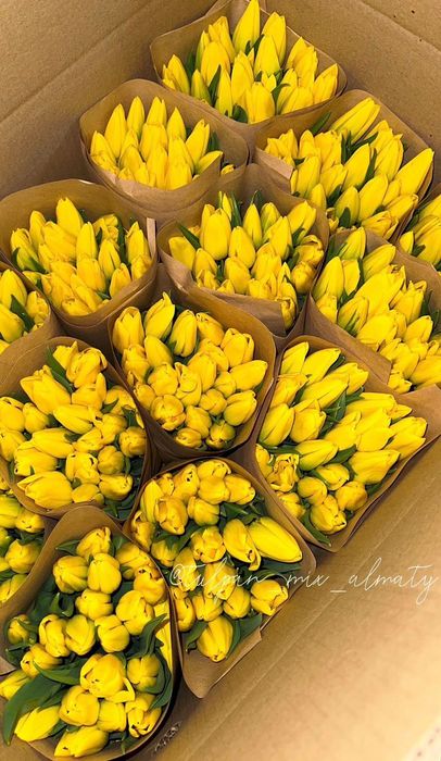 Тюльпаны к 8 марта