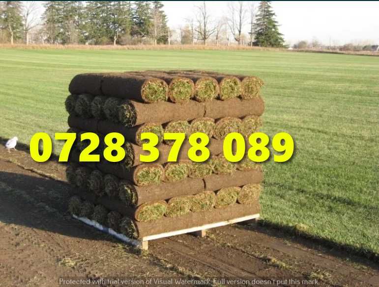 Gazon / Insamantare / Rulouri de Gazon