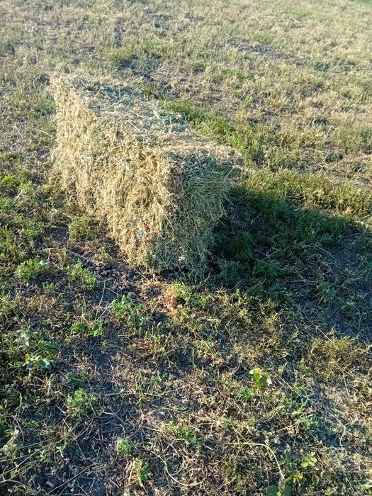 Vand Baloti lucerna ,coasă a 3,