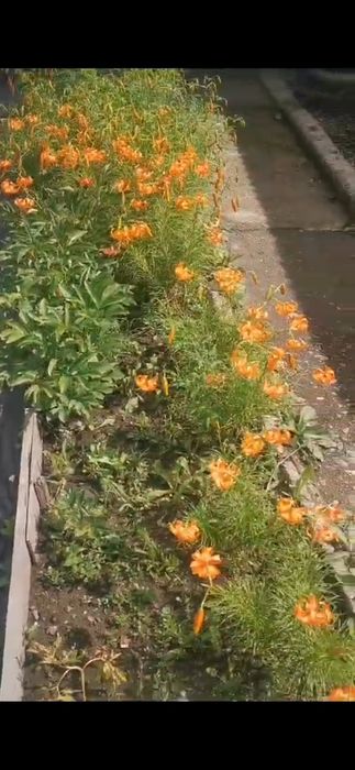 Срочно.Продается большой дом