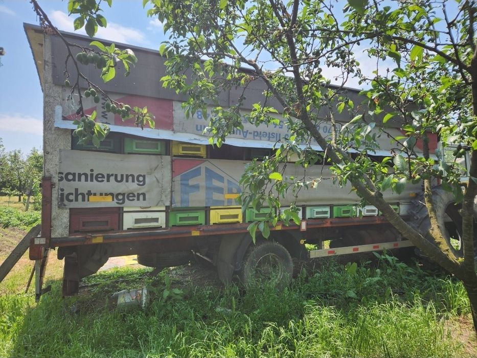 De vânzare camion apicol complet echipat + 50 de stupi cu familii de albine