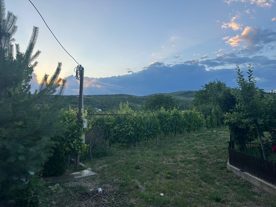 Teren de vânzare,Persunari