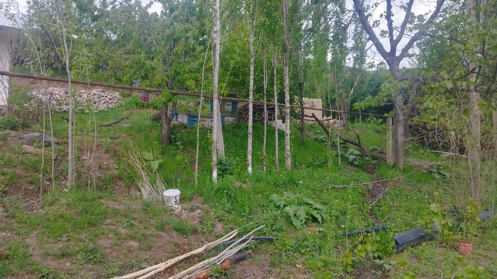 Ер участка сотилади