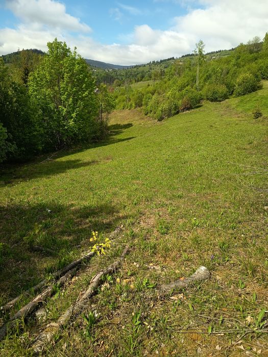Teren  Comuna Horea-Alba