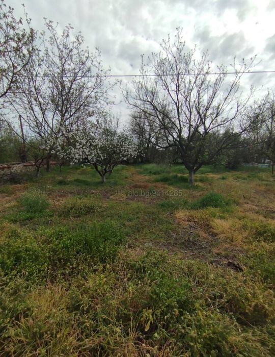 Продава се Къща в с. Бояджик, Област Ямбол - 60 кв.м за 196 €/кв.м - Снимка #5